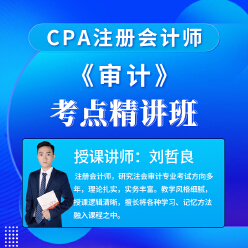 2025年注册会计师考试CPA《审计》考点精讲班