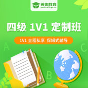 2025年大学英语四级考试1对1定制版