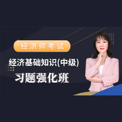 2024年经济师《经济基础知识（中级）》习题强化班