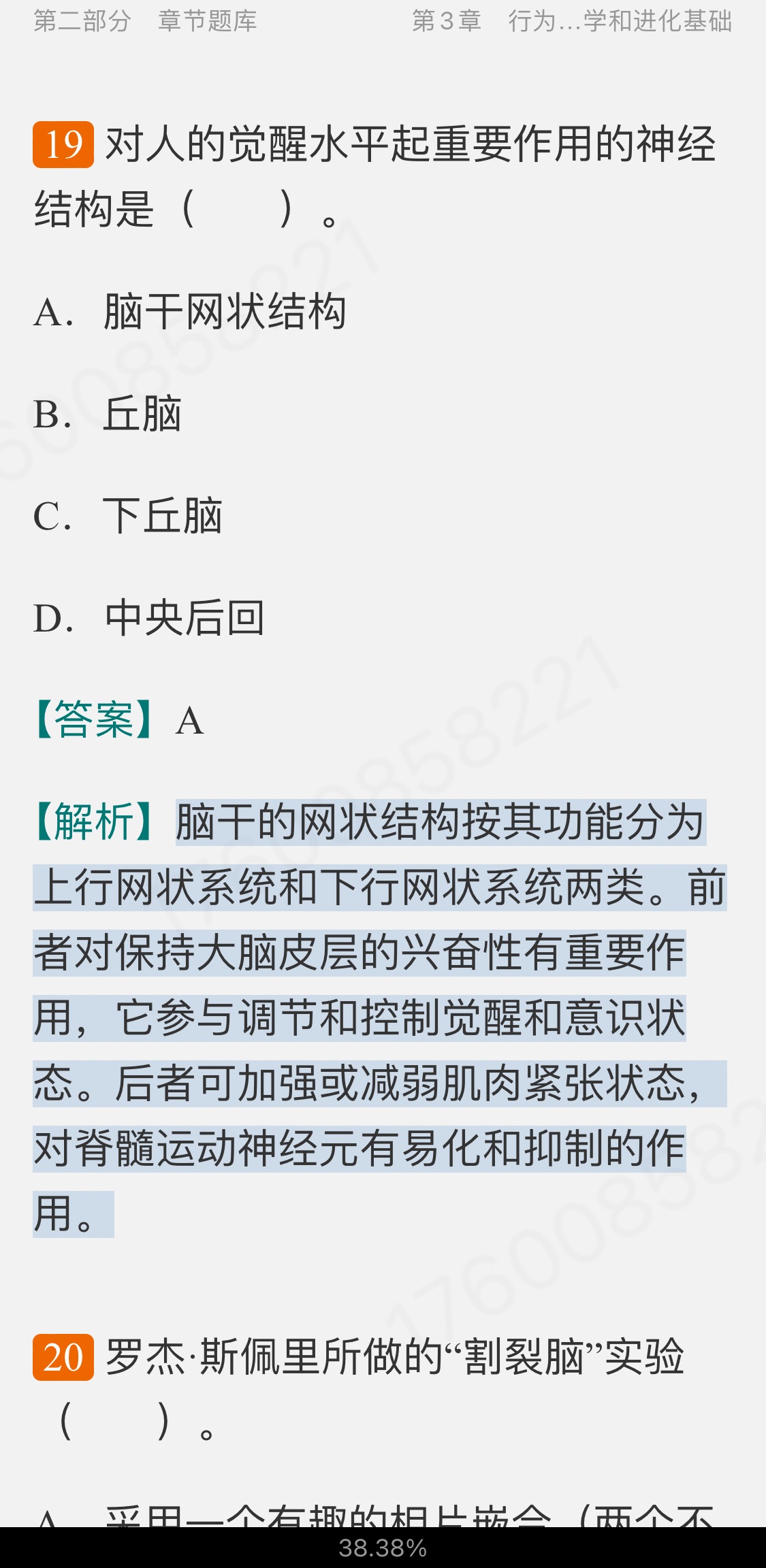 Ͷࡶѧ19棩⡾⾫ѡ½⡿