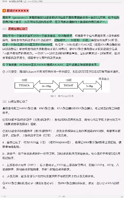 ִ͡ѧ5棩ʼǺͿκϰ⣨⣩