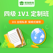 2025年大學英語四級考試1對1定制版
