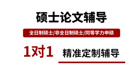 论文辅导
