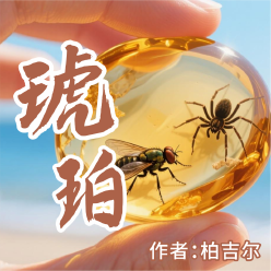 《琥珀》AI课程