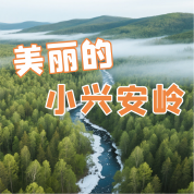 《美丽的小兴安岭》AI课程