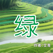 《绿》AI课程