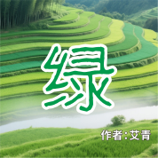 《绿》AI课程