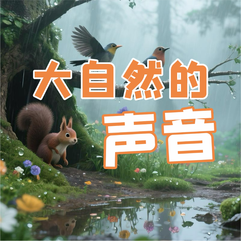 《大自然的声音》AI课程