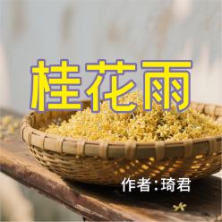 《桂花雨》AI课程