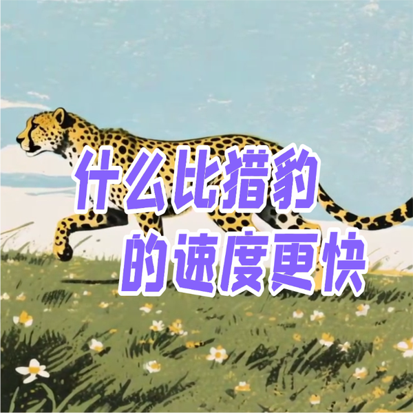 《什么比猎豹的速度更快》AI课程