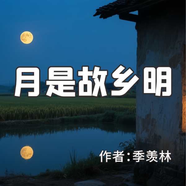 《月是故乡明》AI课程