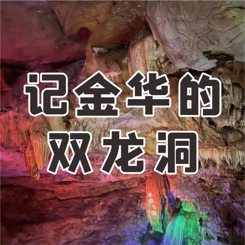 《记金华的双龙洞》AI课程