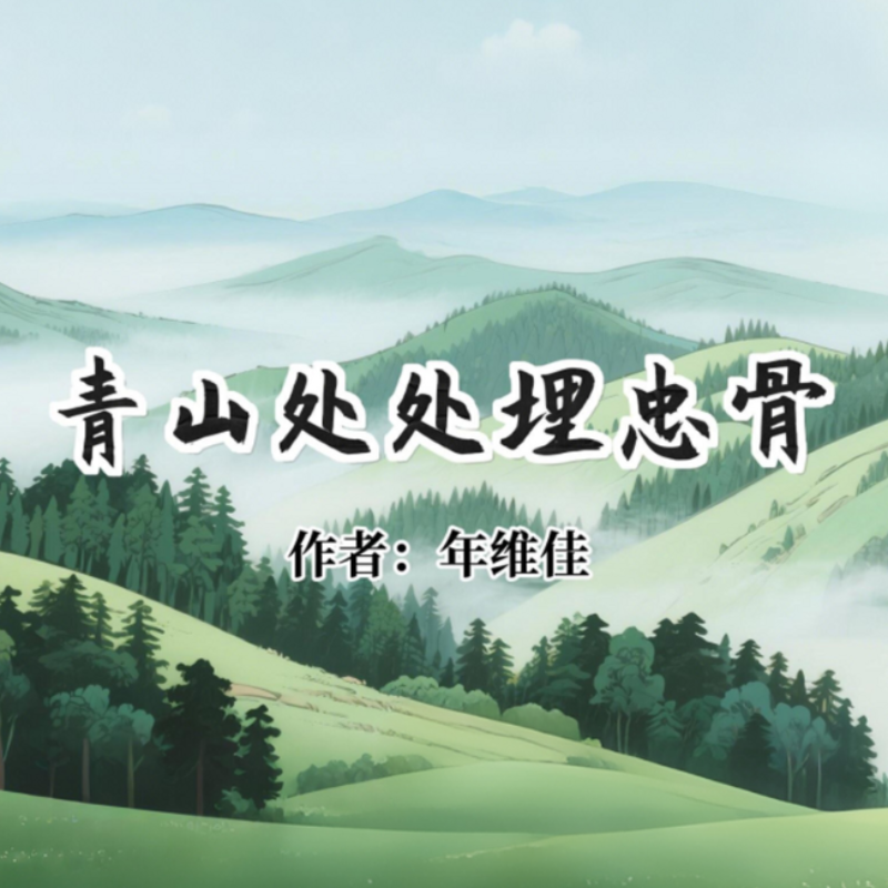 《青山处处埋忠骨》AI课程