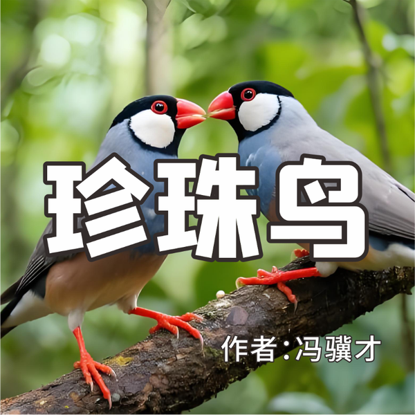 《珍珠鸟》AI课程
