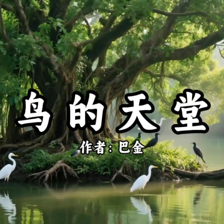 《鸟的天堂》AI课程